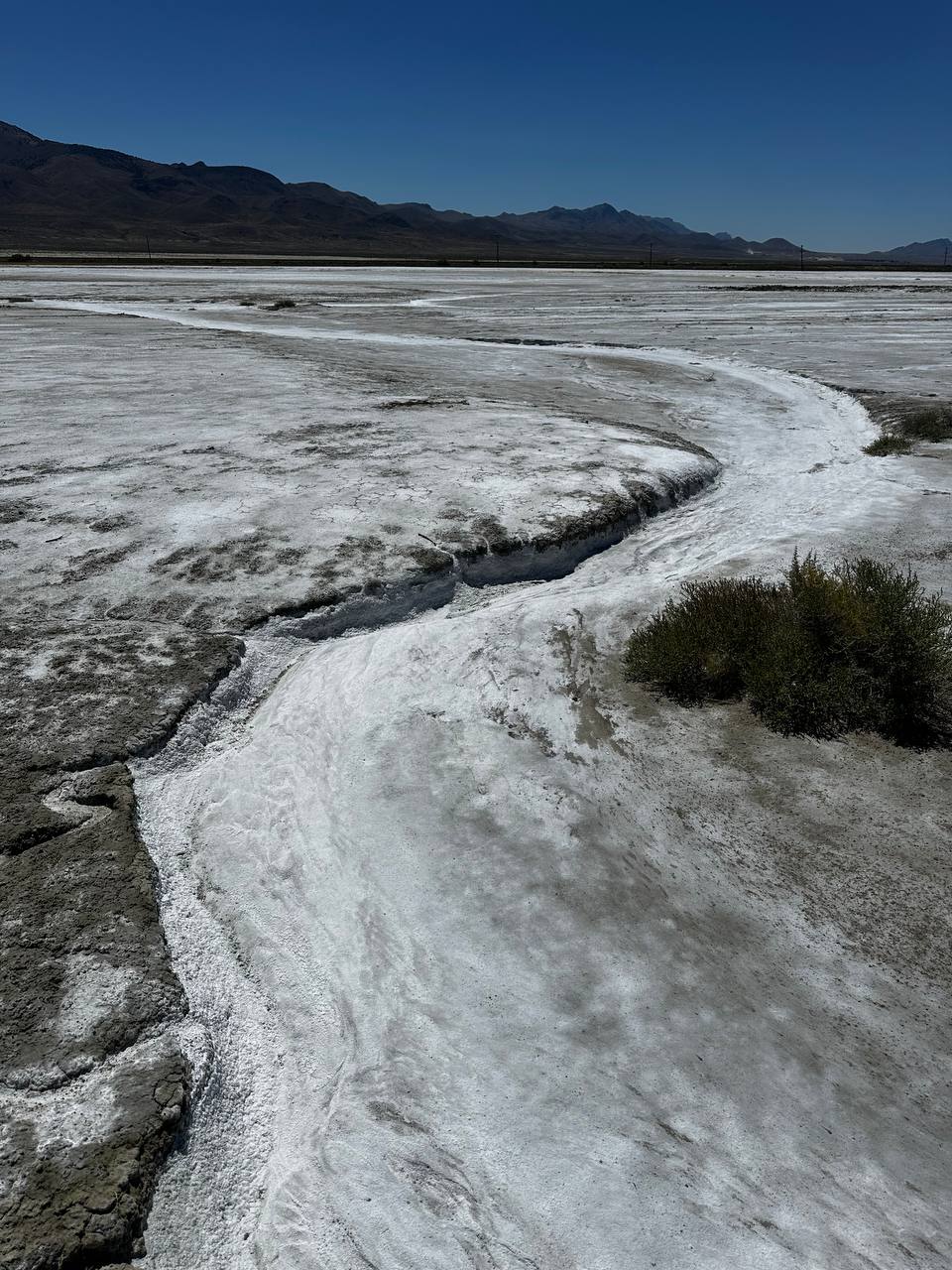 Salt-lined winding channel across the desert surface