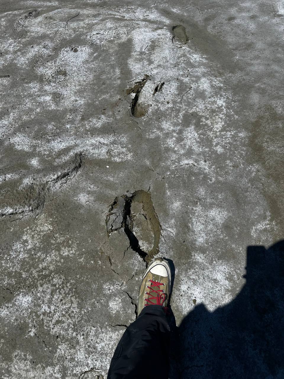 Boot beside deep footprints in wet playa mud